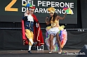 VBS_9071 - Fiera del Peperone di Carmagnola - Festa di Re Peperone e Bela Povronera
